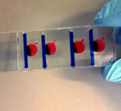 Biochip
