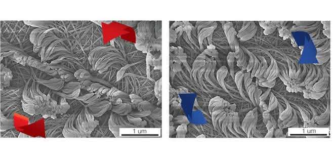 Nanofasern mit unterschiedlicher Drehrichtung. Nanofasern mit unterschiedlicher Drehrichtung.