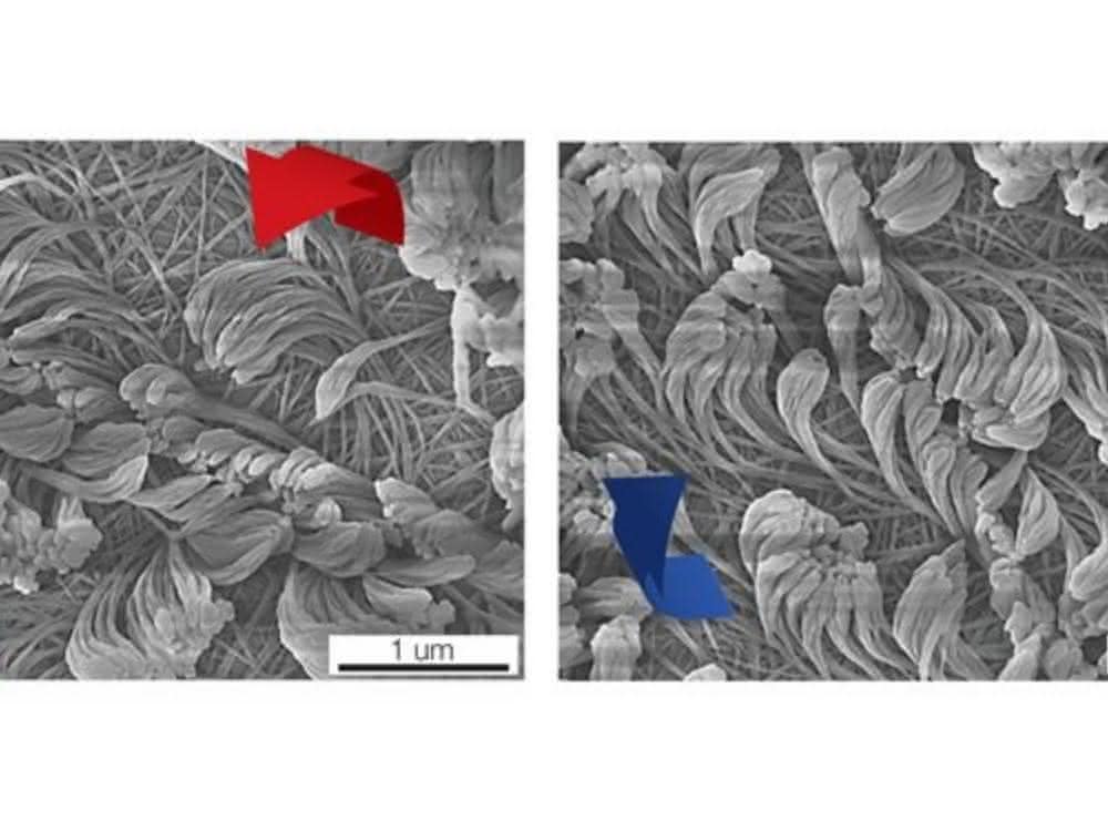 Nanofasern mit unterschiedlicher Drehrichtung.