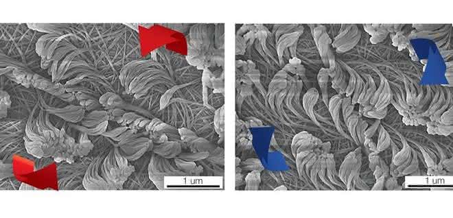 Nanofasern mit unterschiedlicher Drehrichtung. Nanofasern mit unterschiedlicher Drehrichtung.