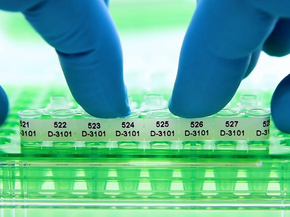 Acht PCR-Tubes mit perforiertem Etikettenstreifen