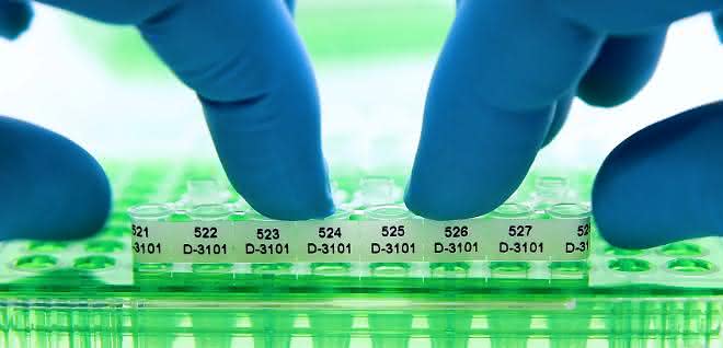 Acht PCR-Tubes mit perforiertem Etikettenstreifen