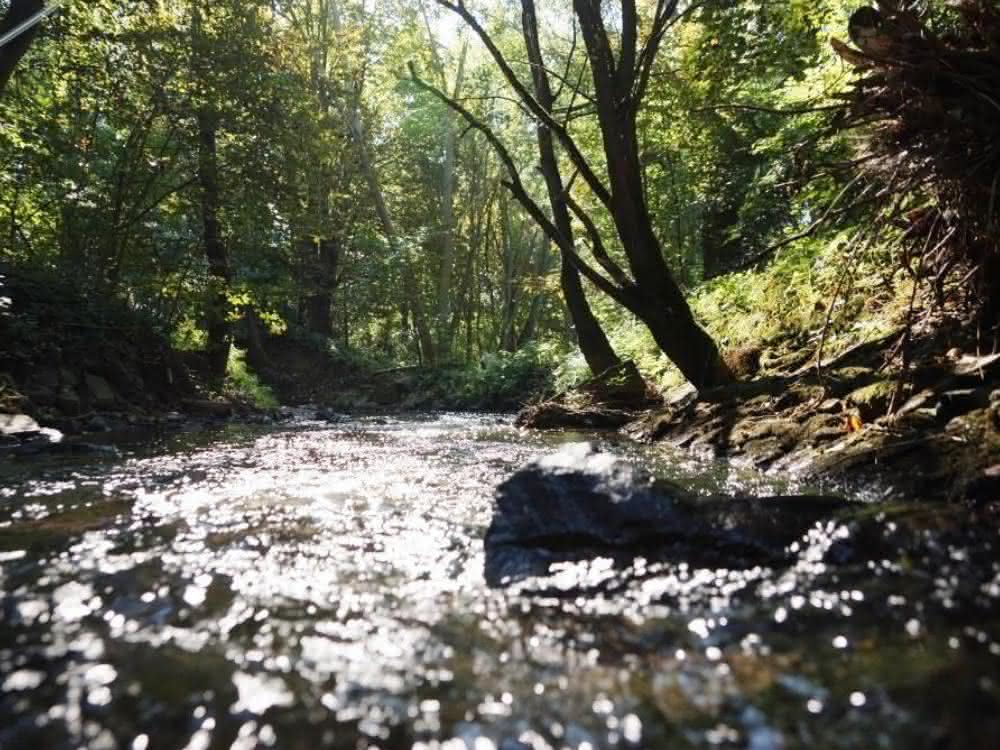 Der Erlenbach im Einzugsgebiet der Nidda. Der Erlenbach im Einzugsgebiet der Nidda.