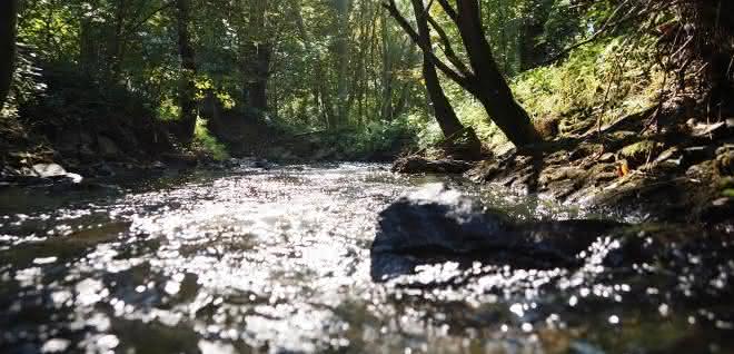 Der Erlenbach im Einzugsgebiet der Nidda. Der Erlenbach im Einzugsgebiet der Nidda.