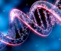 DNA-Doppelhelix