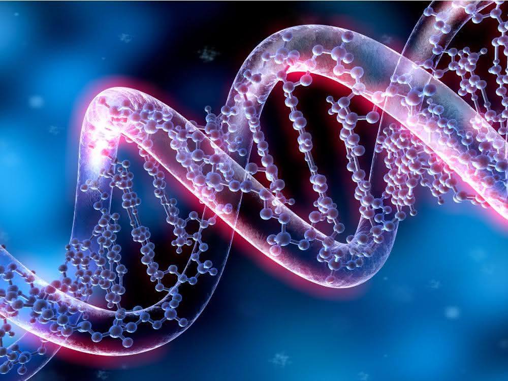 DNA-Doppelhelix DNA-Doppelhelix