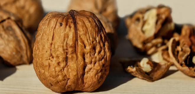 Walnuss: Nuss mit bioökonomischem Potenzial Walnuss: Nuss mit bioökonomischem Potenzial