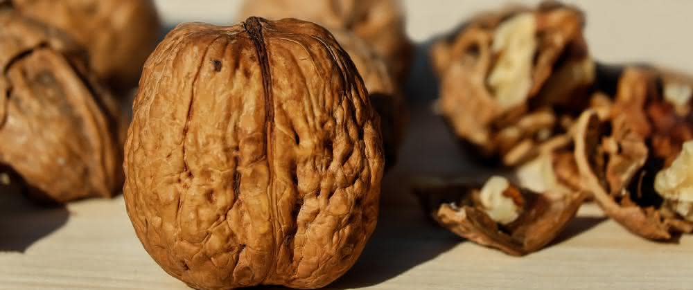 Walnuss: Nuss mit bioökonomischem Potenzial Walnuss: Nuss mit bioökonomischem Potenzial