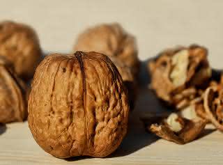 Walnuss: Nuss mit bioökonomischem Potenzial Walnuss: Nuss mit bioökonomischem Potenzial