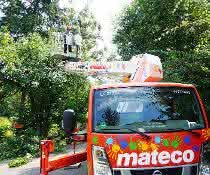 Tappi, eine Lkw-Arbeitsbühne von mateco, hilft bei der Baumpflege im Zoo