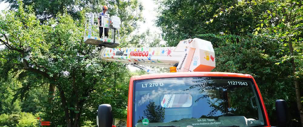 Tappi, eine Lkw-Arbeitsbühne von mateco, hilft bei der Baumpflege im Zoo