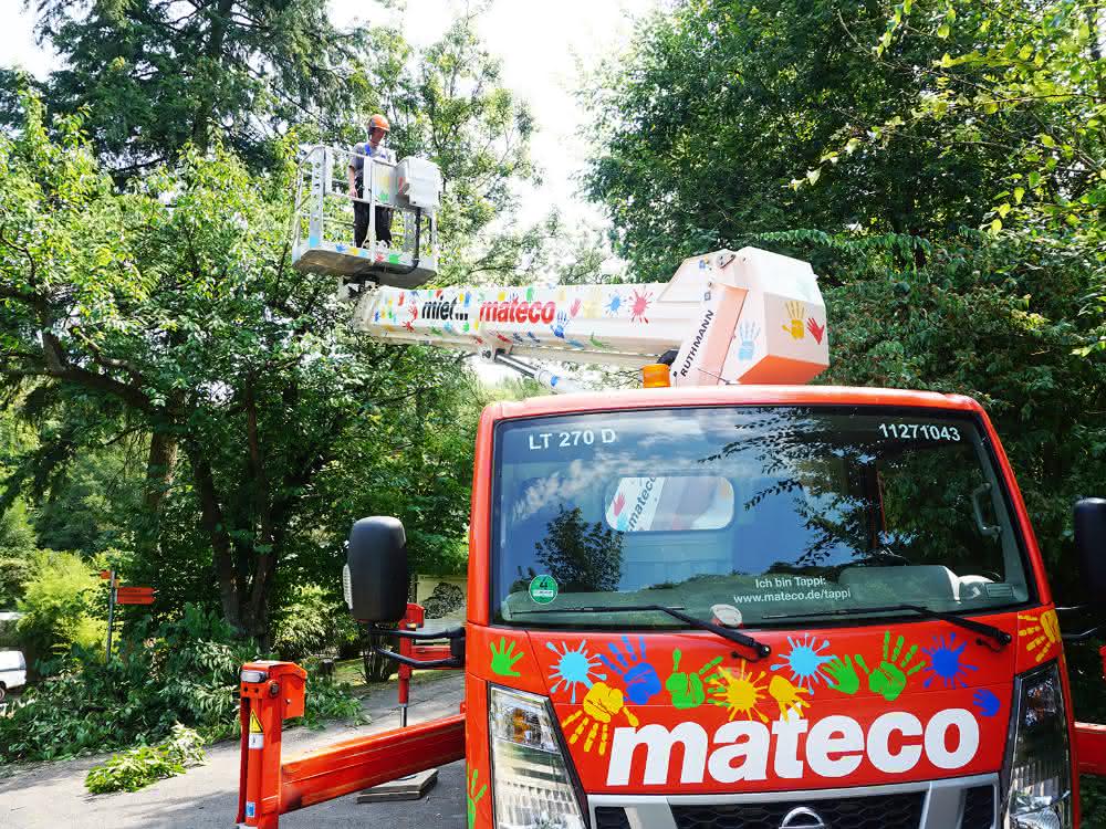 Tappi, eine Lkw-Arbeitsbühne von mateco, hilft bei der Baumpflege im Zoo