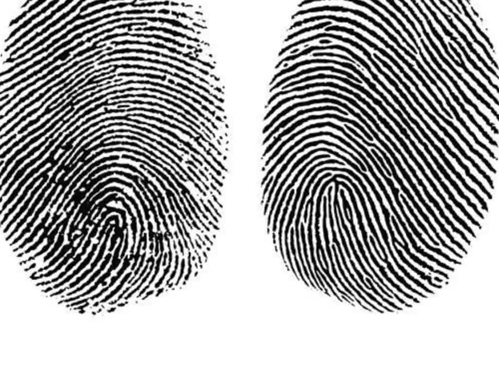 Datenbank für Polymeranalyse: Das Chromatogramm als Fingerabdruck nutzen
