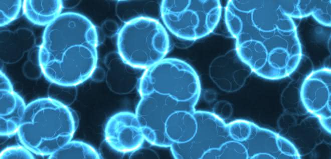 In jeder Zelle ist ein gigantisches Netzwerk von interagierenden RNAs und Proteinen aktiv. In jeder Zelle ist ein gigantisches Netzwerk von interagierenden RNAs und Proteinen aktiv.