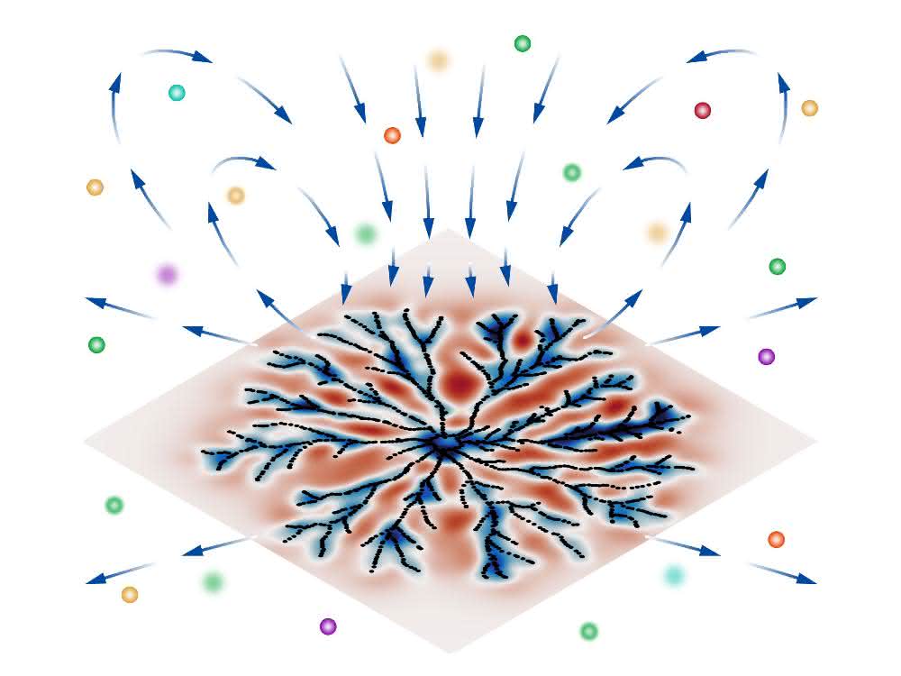 Bewegungsmuster auf einem ebenen Biofilm (blau-rot gefärbt) und dadurch erzeugte Flusslinien vom Lösungsmittel (blau), die für den Transport von Nährstoffen (bunte Kugeln) sorgen. Bewegungsmuster auf einem ebenen Biofilm (blau-rot gefärbt) und dadurch erzeugte Flusslinien vom Lösungsmittel (blau), die für den Transport von Nährstoffen (bunte Kugeln) sorgen.