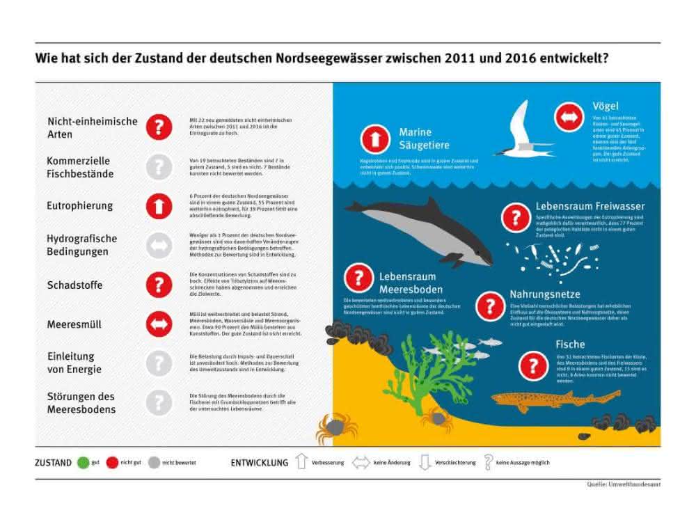 Infografik zum Zustand von Nord- und Ostsee