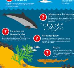 Infografik zum Zustand von Nord- und Ostsee