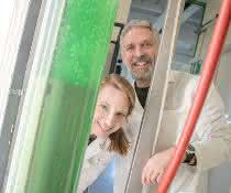 Jacqueline Thiemann und Marc Nowaczyk interessieren sich für Proteinkomplexe in Cyanobakterien, die sie an der Ruhr-Universität in großen Tanks halten. Jacqueline Thiemann und Marc Nowaczyk interessieren sich für Proteinkomplexe in Cyanobakterien, die sie an der Ruhr-Universität in großen Tanks halten.