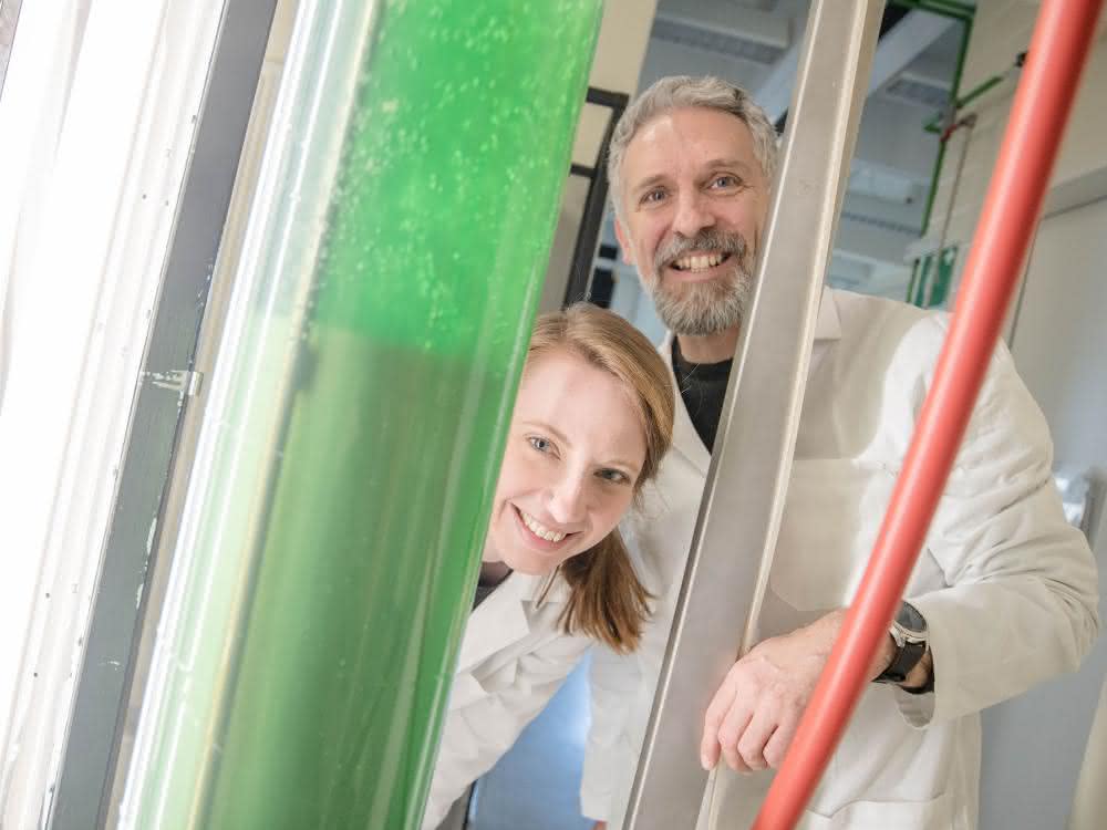 Jacqueline Thiemann und Marc Nowaczyk interessieren sich für Proteinkomplexe in Cyanobakterien, die sie an der Ruhr-Universität in großen Tanks halten.