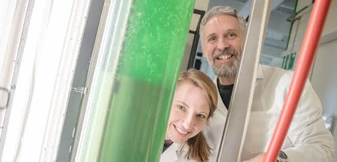 Jacqueline Thiemann und Marc Nowaczyk interessieren sich für Proteinkomplexe in Cyanobakterien, die sie an der Ruhr-Universität in großen Tanks halten. Jacqueline Thiemann und Marc Nowaczyk interessieren sich für Proteinkomplexe in Cyanobakterien, die sie an der Ruhr-Universität in großen Tanks halten.