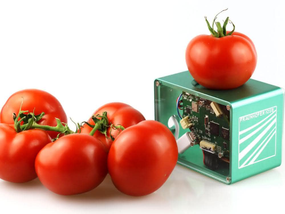 Viele Nahrungsmittel landen im Abfall, obwohl sie noch verzehrbar sind. Ein mobiler Food-Scanner soll Abhilfe schaffen.