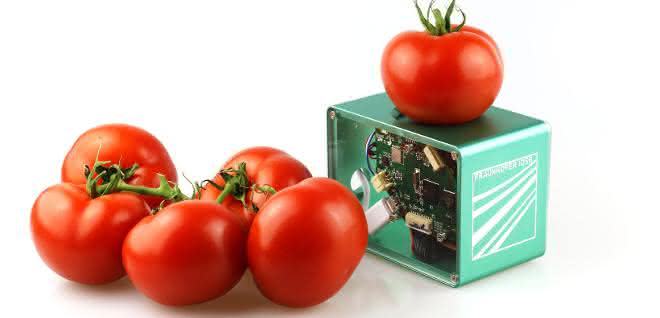 Viele Nahrungsmittel landen im Abfall, obwohl sie noch verzehrbar sind. Ein mobiler Food-Scanner soll Abhilfe schaffen.