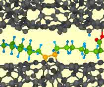 Ölsäure (farbig) geht mit beiden ta-C-Oberflächen (schwarz) chemische Bindungen ein. Bewegung setzt die Ölsäure unter Zug, eine Hydroxylgruppe spaltet sich ab, es bildet sich in Folge Supraschmierung.