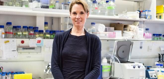 Biochemikerin Dorothee Dormann Dorothee Dormann erhält im März 2019 den Paul Ehrlich- und Ludwig Darmstaedter-Nachwuchspreis für ihre Forschung zu neurodegenerativen Erkrankungen.