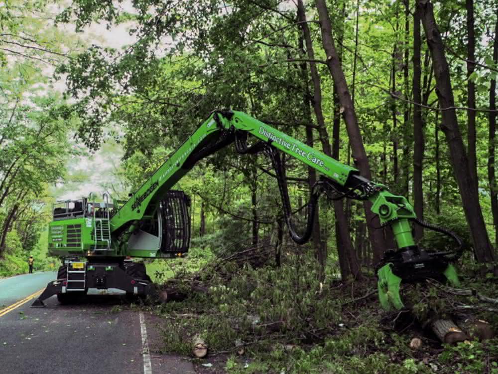 Baumpflege entlang des Highways Baumpflege entlang des Highways