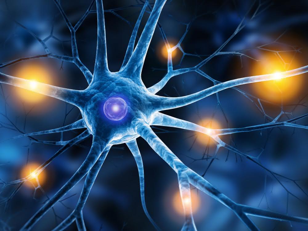 Nervenzelle