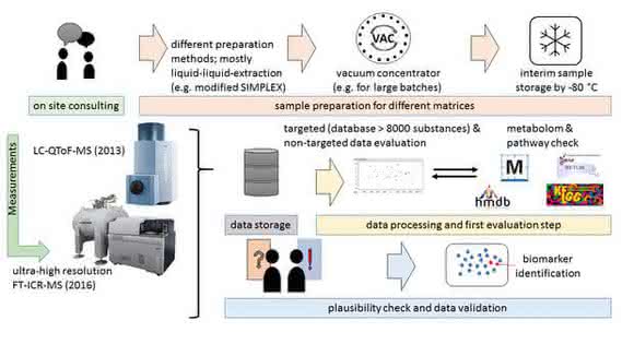 Basis für mehr: Die Metabolomics-Daten aus dem Projekt FoCus Basis für mehr: Die Metabolomics-Daten aus dem Projekt FoCus