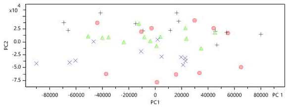Basis für mehr: Die Metabolomics-Daten aus dem Projekt FoCus Basis für mehr: Die Metabolomics-Daten aus dem Projekt FoCus