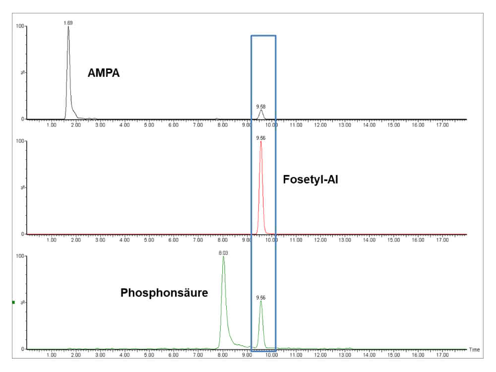 Bild 3: Basislinien-getrennte Peaks der in QuPPe beschriebenen kritischen Paarung AMPA, Fosetyl-Al und Phosphonsäure, so dass falsch-positive Identifizierung oder Überbefunde ausgeschlossen sind. Im blauen Kasten sind die Interferenzen von Fosetyl-Al in den MRM-Übergängen von AMPA und Phosphonsäure markiert.