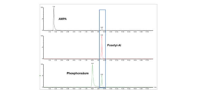 Bild 3: Basislinien-getrennte Peaks der in QuPPe beschriebenen kritischen Paarung AMPA, Fosetyl-Al und Phosphonsäure, so dass falsch-positive Identifizierung oder Überbefunde ausgeschlossen sind. Im blauen Kasten sind die Interferenzen von Fosetyl-Al in den MRM-Übergängen von AMPA und Phosphonsäure markiert.