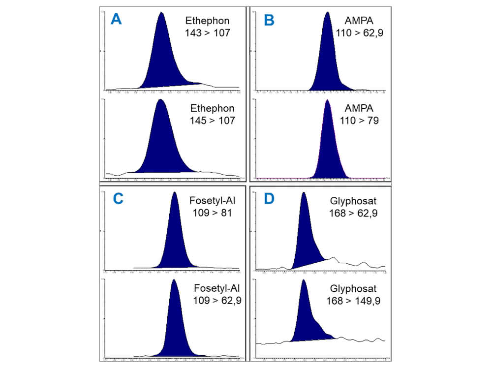 Bild 5: Methode B: Quantifier- und Qualifierübergänge für die herausfordernden Analyte: A: Ethephon, B: AMPA, C: Fosetyl-Al und D: Glyphosat mit 1 ng/ml (1 ppb, entspricht 2 µg/kg bezogen auf die Einwaage) in einem Tomatenextrakt nach QuPPe.