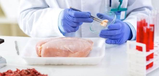 Entnahme einer Fleischprobe im Labor