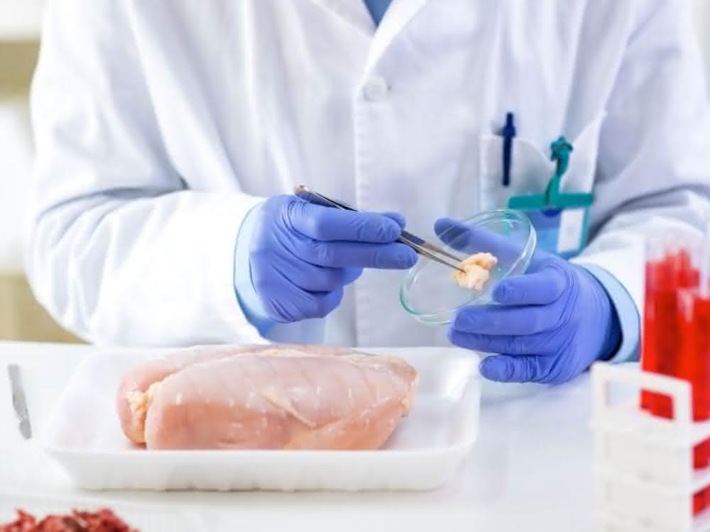 Entnahme einer Fleischprobe im Labor