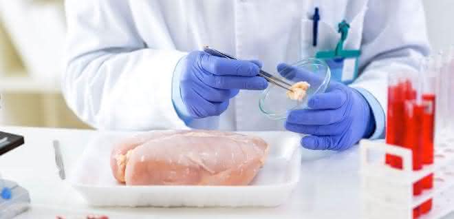 Entnahme einer Fleischprobe im Labor