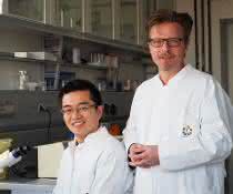 Prof. Dr. Jürgen C. Becker (rechts) mit seinem Doktoranden Kaiji Fan, der ebenfalls an der Studie beteiligt war