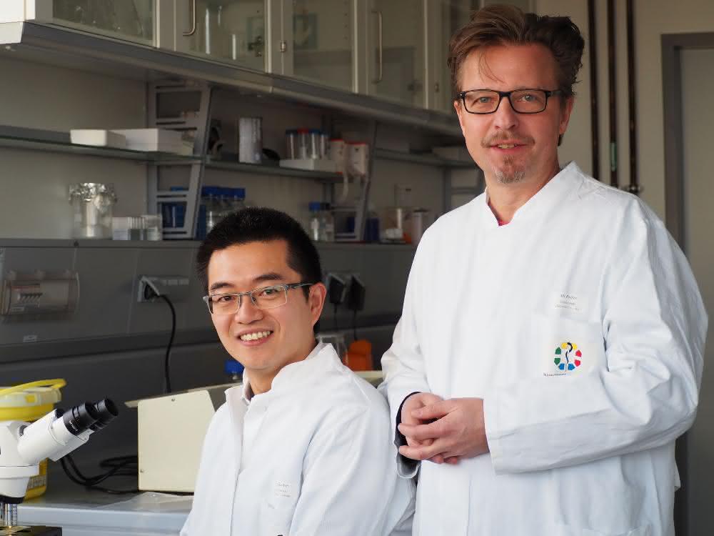 Prof. Dr. Jürgen C. Becker (rechts) mit seinem Doktoranden Kaiji Fan, der ebenfalls an der Studie beteiligt war