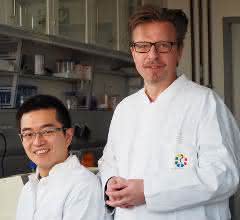 Prof. Dr. Jürgen C. Becker (rechts) mit seinem Doktoranden Kaiji Fan, der ebenfalls an der Studie beteiligt war