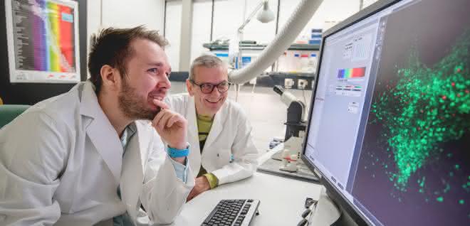Dennis Eickelbeck (links) und Stefan Herlitze bringen Zellen zum Leuchten – mit der sogenannten Optogenetik.
