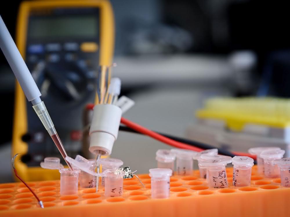 Das Bochumer Team um Kristina Tschulik hat eine spektro-elektrochemische Methode entwickelt, mit der sich einzelne Nanopartikel charakterisieren lassen.