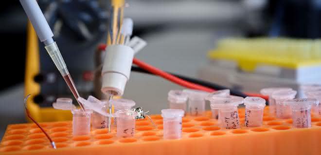Das Bochumer Team um Kristina Tschulik hat eine spektro-elektrochemische Methode entwickelt, mit der sich einzelne Nanopartikel charakterisieren lassen. Das Bochumer Team um Kristina Tschulik hat eine spektro-elektrochemische Methode entwickelt, mit der sich einzelne Nanopartikel charakterisieren lassen.