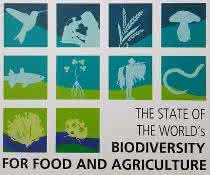 Titelseite des ersten Weltzustandsberichts für Biodiversität in Landwirtschaft und Ernährung