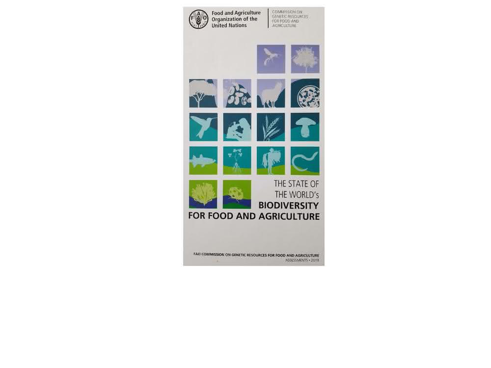 Titelseite des ersten Weltzustandsberichts für Biodiversität in Landwirtschaft und Ernährung Titelseite des ersten Weltzustandsberichts für Biodiversität in Landwirtschaft und Ernährung