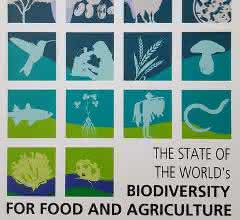 Titelseite des ersten Weltzustandsberichts für Biodiversität in Landwirtschaft und Ernährung Titelseite des ersten Weltzustandsberichts für Biodiversität in Landwirtschaft und Ernährung