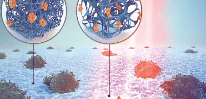 Grafik Zellen im Hydrogel