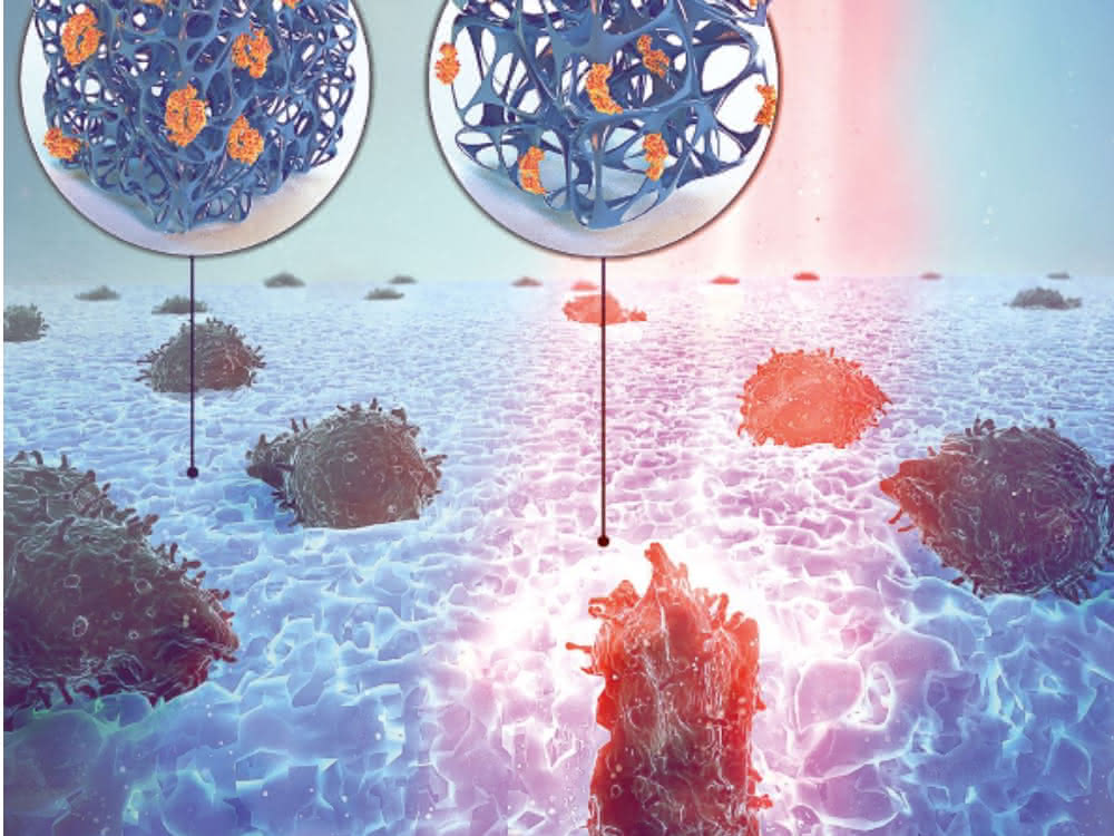 Grafik Zellen im Hydrogel