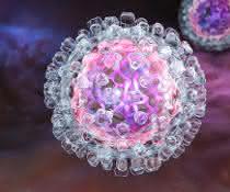 Illustration eines Hepatitis C-Virus.